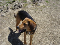 Highlight for album: Mission Peak Hike, April 2005