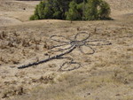 Rock-art flower