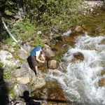 Tall Mike (or Mike2) filtering some water. I don't think he wanted to pose for the camera...