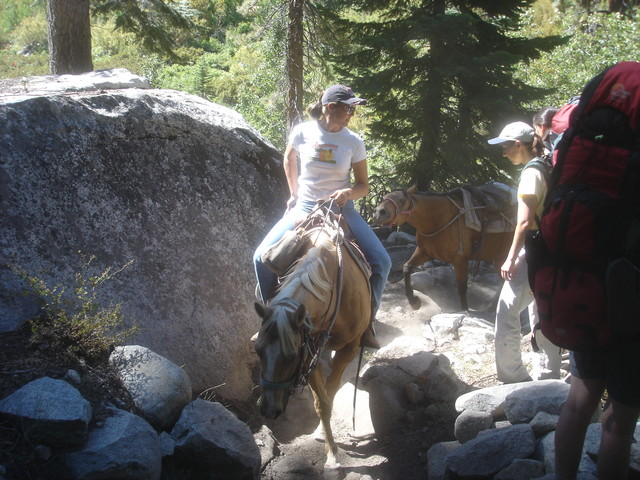 We have to share the trail with horses
