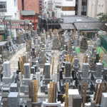 A cemetery. Each grave marker (shrine) represents a family. The long wooden boards represent individuals.