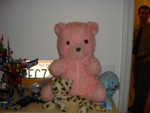 Steve's childhood bear, Pinky