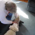 Sizing Maddie for a home-made sweater, while Scout watches (he's helping, sure).