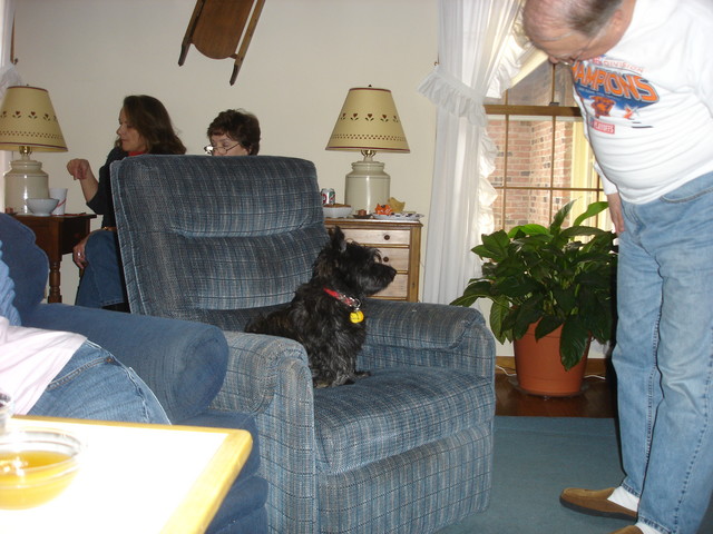 If you get up from your chair, you are liable to use it -- as Aunt Joanne's new dog Maddie demonstrates to Randy.